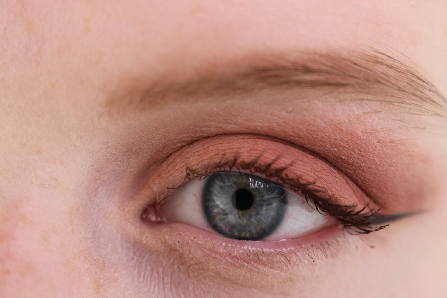 Ombre à paupières Matte Amarone